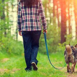 Выгул собак на ООПТ: что важно знать