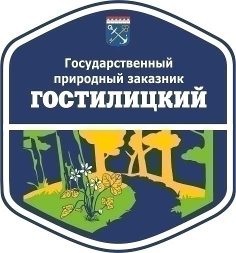 Гостилицкий