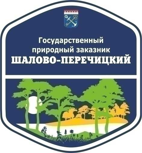 Шалово-Перечицкий